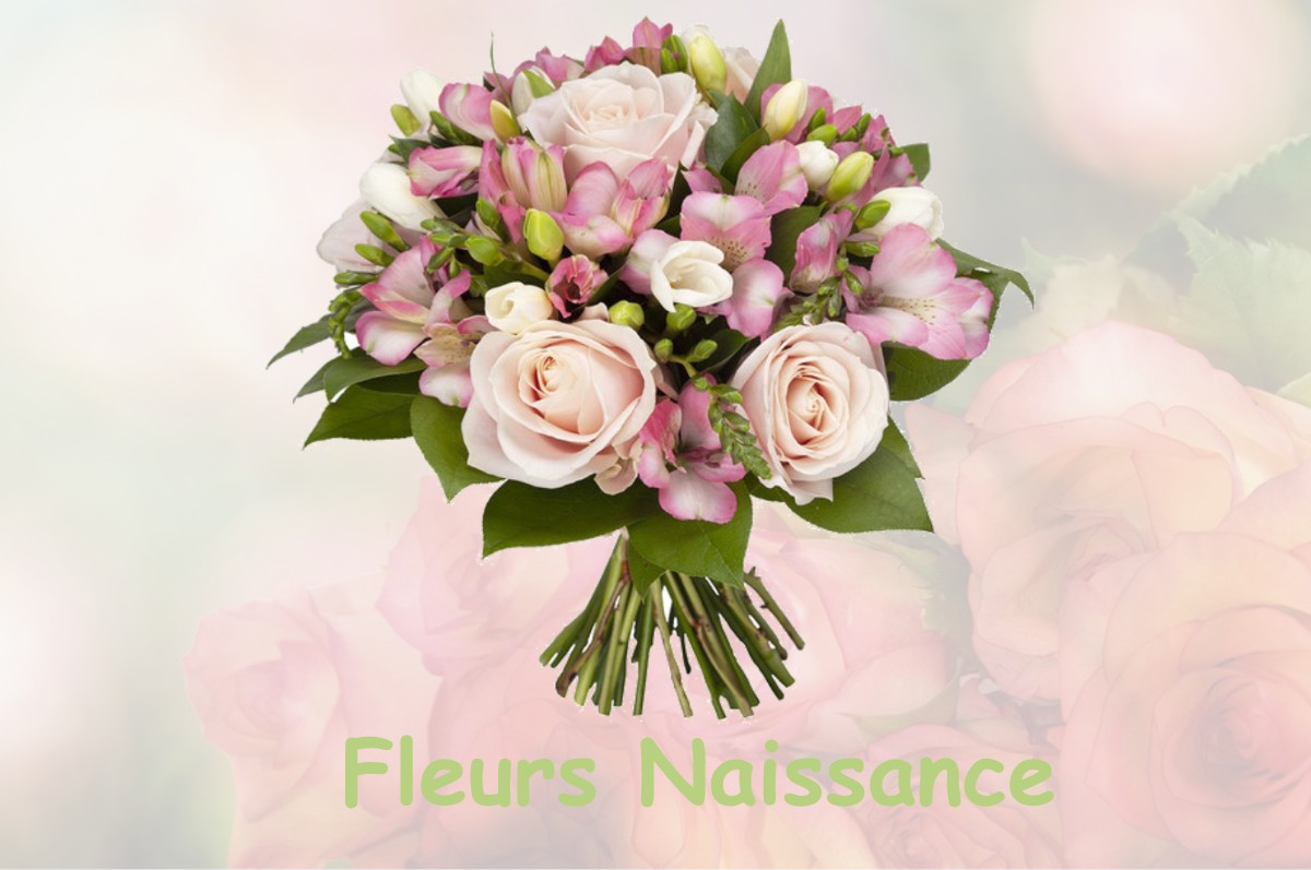 fleurs naissance BLANGY-SOUS-POIX